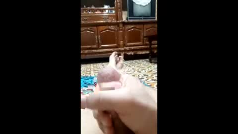 bahaa5555 online show from February 12, 2026, 4:18 am