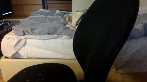 Snapshot of bahn92 chatting on March 11, 2026, 6:30 am bahn92 online show from March 11, 2026, 6:30 am