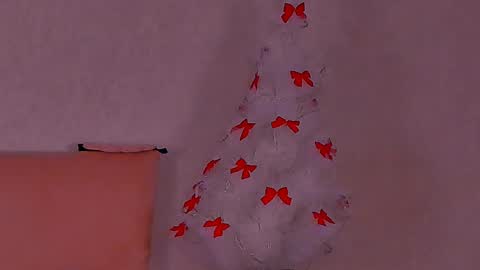 Snapshot of barbara_bb chatting on January 13, 2025, 1:45 am Barbie Kim online show from January 13, 2025, 1:45 am