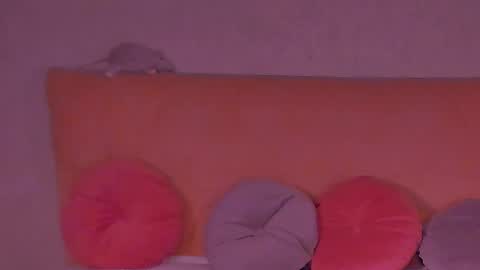 Snapshot of barbara_bb chatting on February 18, 2025, 12:04 am Barbie Kim online show from February 18, 2025, 12:04 am