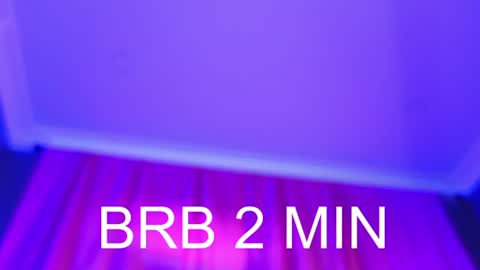 Barbara online show from July 20, 2026, 10:39 am