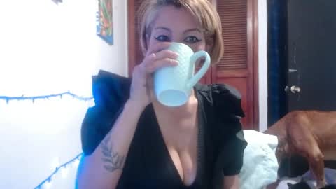 barbiemature online show from May 28, 2026, 9:06 am