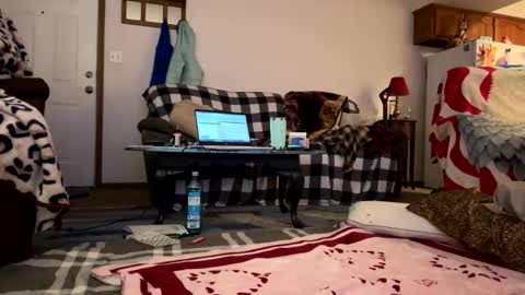 barelybehavedbarbie online show from April 23, 2026, 7:52 am