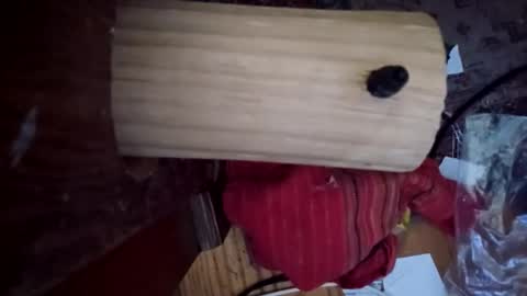 bartender3127 online show from December 6, 2024, 3:33 pm