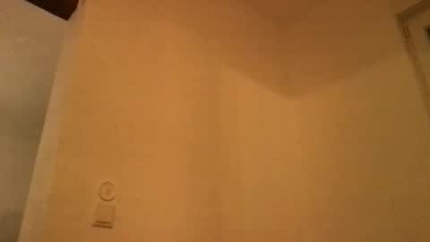 Snapshot of basst23 chatting on November 27, 2025, 11:29 pm basst23 online show from November 27, 2025, 11:29 pm