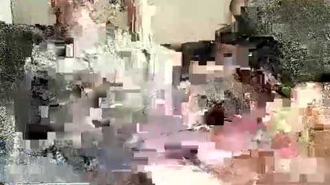 Batman online show from January 2, 2025, 12:02 am