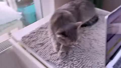 Snapshot of bb_lourels_ chatting on June 14, 2026, 5:48 pm Lourel I will be here on and online show from June 14, 2026, 5:48 pm