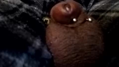 bcfalcon69 online show from February 26, 2026, 5:06 am