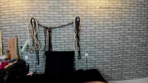 Meduza  online show from November 14, 2025, 1:10 pm