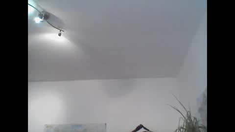 Snapshot of bear14250949 chatting on November 2, 2025, 11:45 am bear14250949 online show from November 2, 2025, 11:45 am