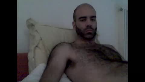 Snapshot of bear14250949 chatting on November 16, 2025, 11:38 am bear14250949 online show from November 16, 2025, 11:38 am