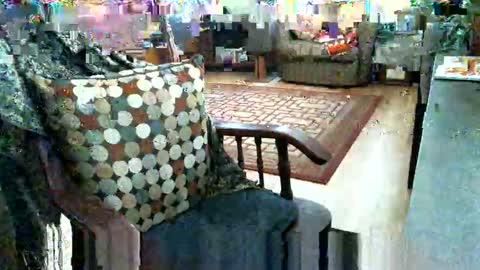 Snapshot of beardie89 chatting on January 12, 2026, 5:40 pm beardie89 online show from January 12, 2026, 5:40 pm