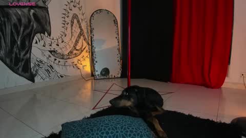 Snapshot of beelzebosss chatting on January 5, 2025, 12:42 am Daniela ur fav living dead girl online show from January 5, 2025, 12:42 am