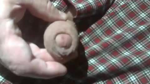 Snapshot of beer27 chatting on December 28, 2024, 12:15 am Reservoir Dogs online show from December 28, 2024, 12:15 am