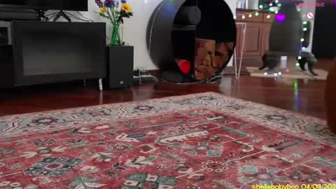 Snapshot of bellebabyboo chatting on March 4, 2025, 1:12 am BELLE online show from March 4, 2025, 1:12 am