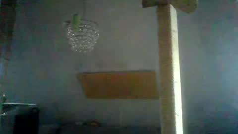 benizio online show from January 24, 2025, 2:41 pm