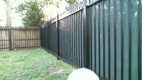 Blue online show from March 5, 2026, 11:23 pm