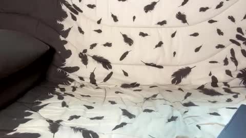 betterthanmen online show from February 13, 2025, 8:17 am