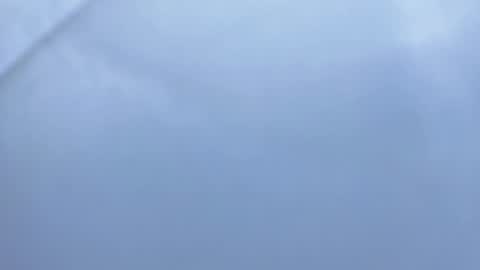 Snapshot of betty__davvis chatting on November 6, 2025, 2:07 pm Betty online show from November 6, 2025, 2:07 pm