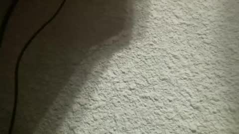 Snapshot of bgf32054 chatting on February 4, 2025, 5:21 am Bigfish123 online show from February 4, 2025, 5:21 am