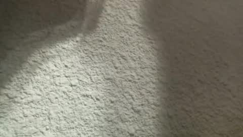 Snapshot of bgf32054 chatting on March 12, 2025, 4:41 am Bigfish123 online show from March 12, 2025, 4:41 am