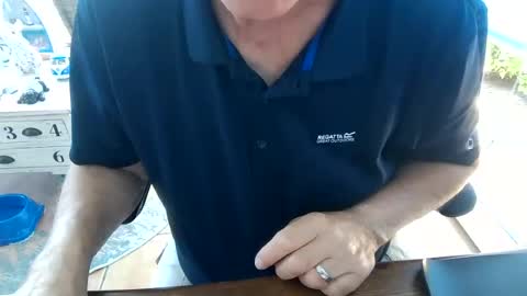 Snapshot of bi_and_more chatting on July 4, 2026, 11:05 am Manfred online show from July 4, 2026, 11:05 am