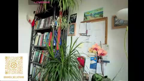 Snapshot of bianca_transpinay chatting on June 9, 2026, 7:42 am Bianca Transgirl online show from June 9, 2026, 7:42 am