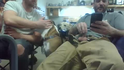 Snapshot of bicboy007 chatting on March 8, 2025, 2:34 am bicboy007 online show from March 8, 2025, 2:34 am