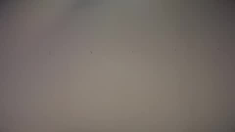 Snapshot of biff_beaverhausen chatting on November 1, 2025, 11:34 am Biff Beaverhousen online show from November 1, 2025, 11:34 am