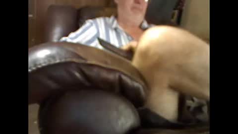 Snapshot of bigbenidick1 chatting on November 26, 2025, 4:41 pm BB online show from November 26, 2025, 4:41 pm