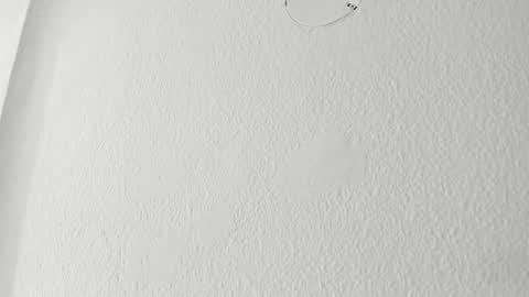   online show from March 18, 2026, 9:56 am