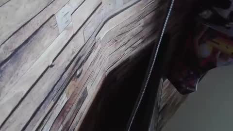 Snapshot of bigboyband chatting on December 27, 2024, 8:56 am Bigboyband online show from December 27, 2024, 8:56 am