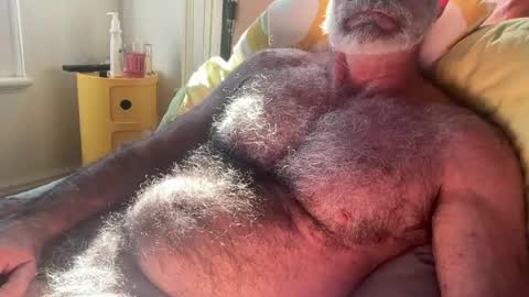 big bush online show from July 13, 2026, 2:03 am