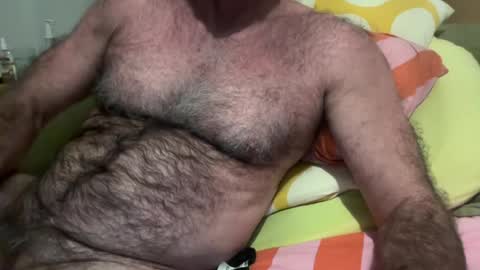 big bush online show from July 14, 2026, 8:52 am