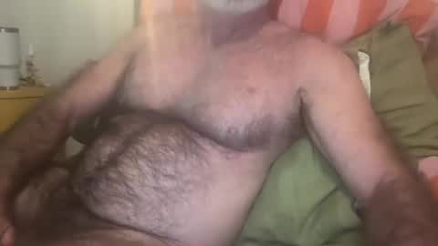 big bush online show from July 19, 2026, 7:23 am