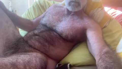 big bush online show from July 28, 2026, 3:13 am