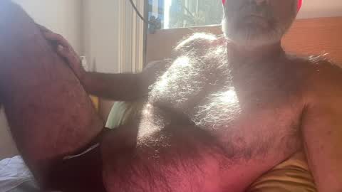 big bush online show from July 30, 2026, 2:32 am
