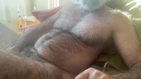 big bush online show from July 31, 2026, 3:17 am