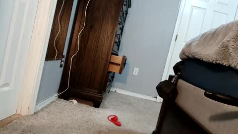 Snapshot of bigcockdaddy247 chatting on December 17, 2024, 5:07 am bigcockdaddy247 online show from December 17, 2024, 5:07 am