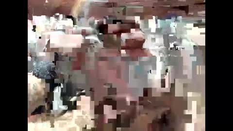 Snapshot of bigdaddy1231995 chatting on September 15, 2025, 6:41 pm BigDaddykodack online show from September 15, 2025, 6:41 pm