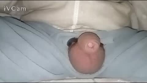 Snapshot of bigdick666cm chatting on January 30, 2025, 2:49 am Big online show from January 30, 2025, 2:49 am