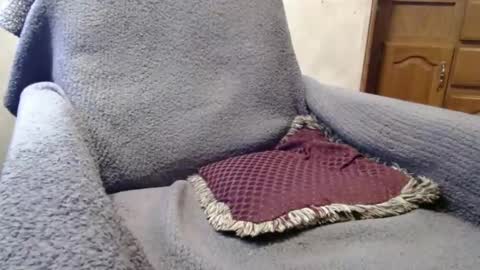 Snapshot of bigdickdaddy567130413 chatting on December 29, 2024, 2:42 pm bigdickdaddy567130413 online show from December 29, 2024, 2:42 pm