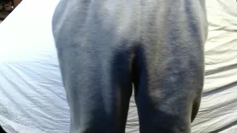 Snapshot of bigdickdaddy567130413 chatting on January 15, 2025, 5:47 pm bigdickdaddy567130413 online show from January 15, 2025, 5:47 pm