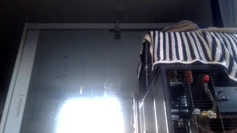 Snapshot of bigdickdangles472924 chatting on September 19, 2025, 6:08 pm bigdickdangles472924 online show from September 19, 2025, 6:08 pm