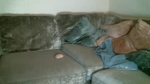 Snapshot of bigdickjimmywill chatting on February 11, 2025, 5:47 am CAJEinc online show from February 11, 2025, 5:47 am