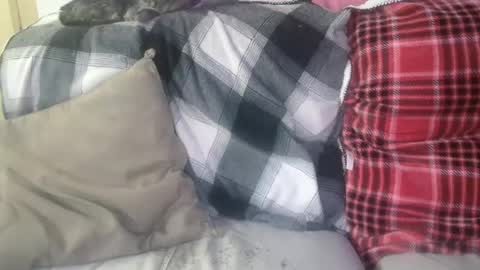 bigdicktrannynicole online show from January 29, 2025, 12:56 pm