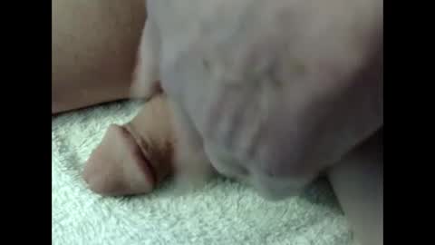 bigdipper58 online show from February 23, 2025, 5:18 pm