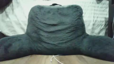 bigdyllpickle online show from January 8, 2026, 2:47 am