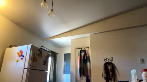 Daniel  Noelia online show from February 27, 2025, 7:04 pm