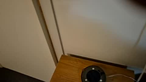 bigjoeyblow online show from August 8, 2026, 8:49 am